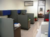 IBO arq  75